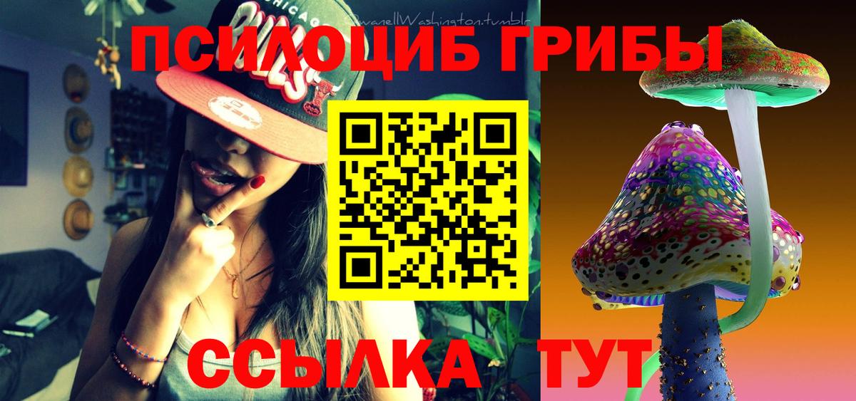Галлюциногенные грибы ЛСД  Галлюциногенные грибы Magic Shrooms  наркошоп  Вход с VPN  Кизилюрт 