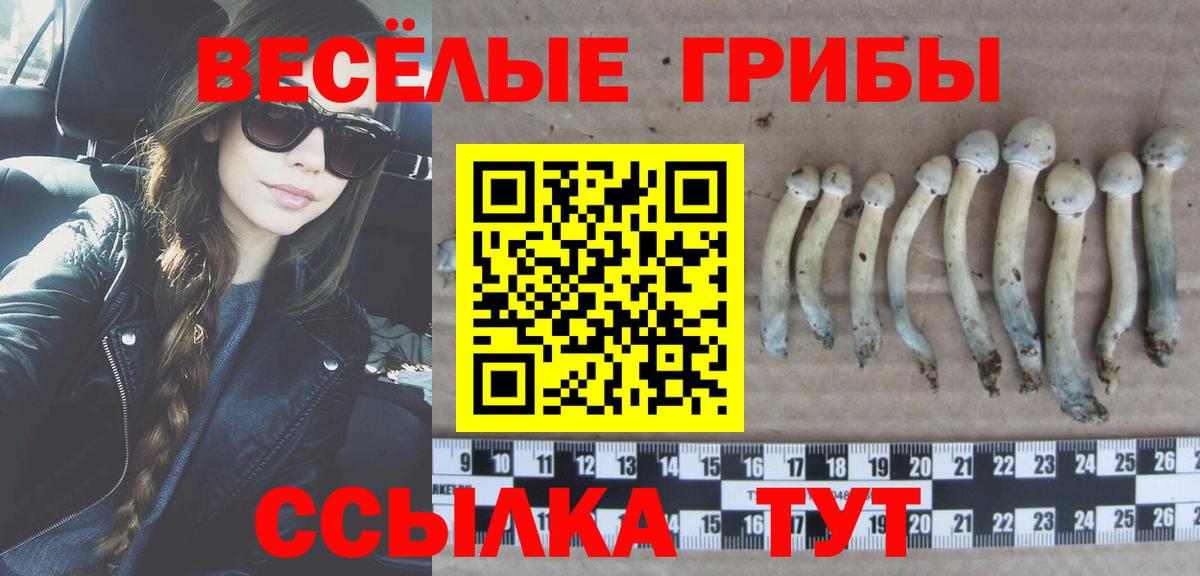 Псилоцибиновые грибы прущие грибы Кизилюрт